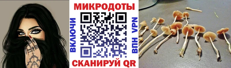 Галлюциногенные грибы Psilocybe  Уварово 